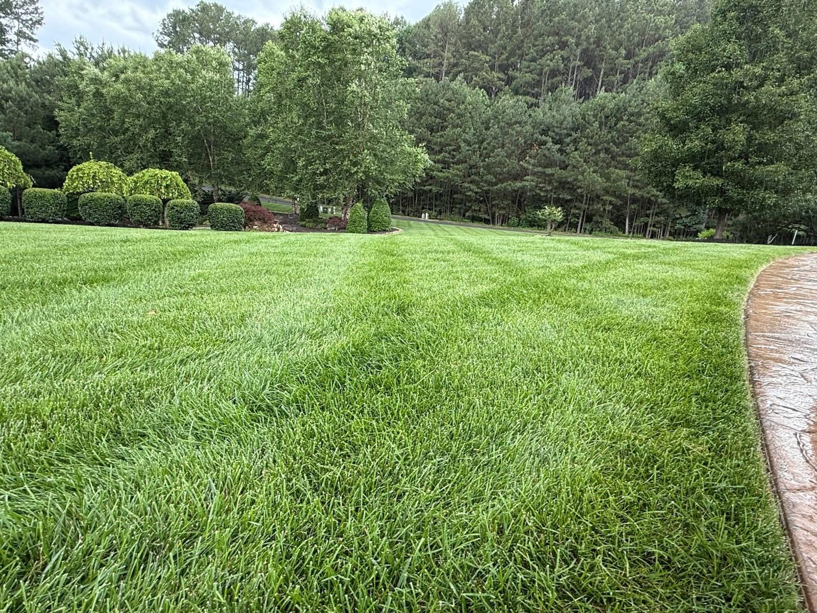 Landscaping project 19