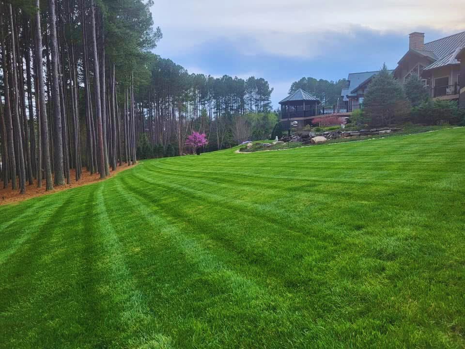 Landscaping project 23