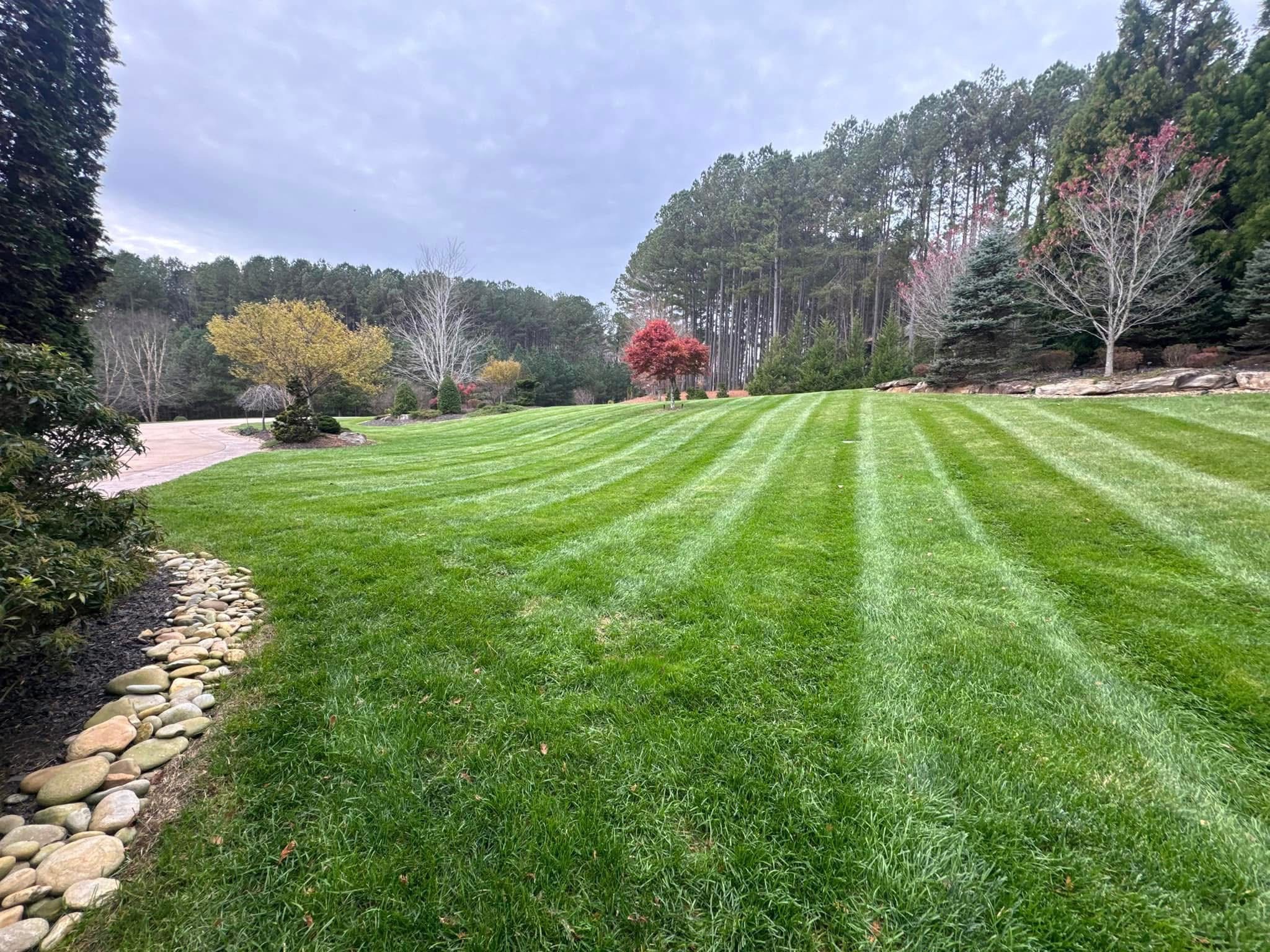 Beautiful landscaped lawn