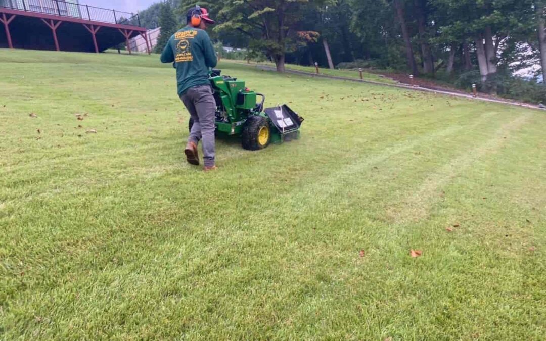 🏡 Efficient, Clean & Reliable Leaf Removal for Your Home