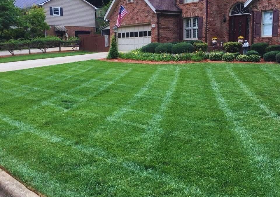 🏡 Transforming Outdoor Spaces Across Hickory, NC