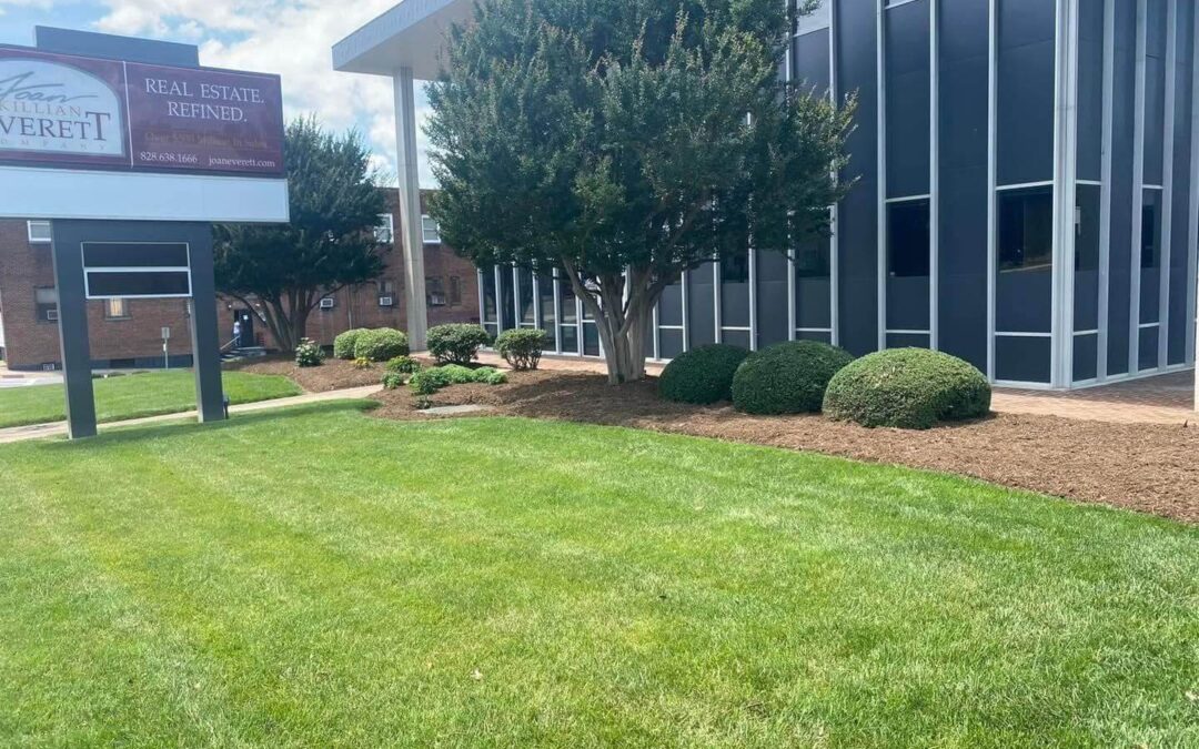 💼 Licensed & Insured Landscapers Ready to Serve You