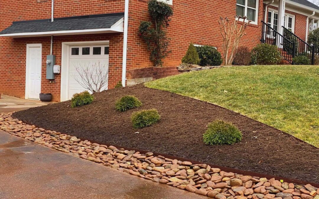 Professional Outdoor Services You Can Trust