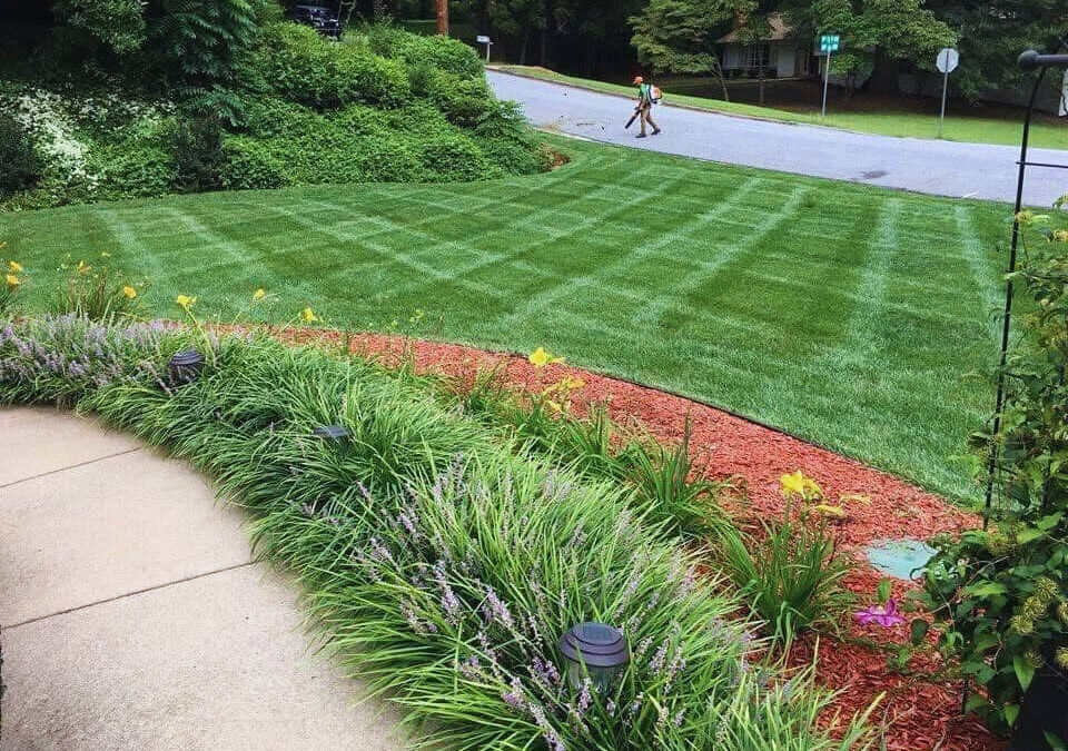 🌱 Sod Install: The Fastest Way to Get a Perfect Lawn. Catawba Caunty.