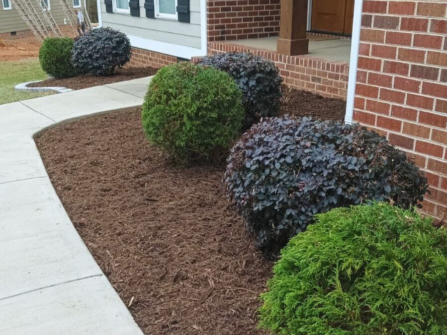 🌿 Transforming Outdoor Spaces with Care & Craftsmanship 🌟