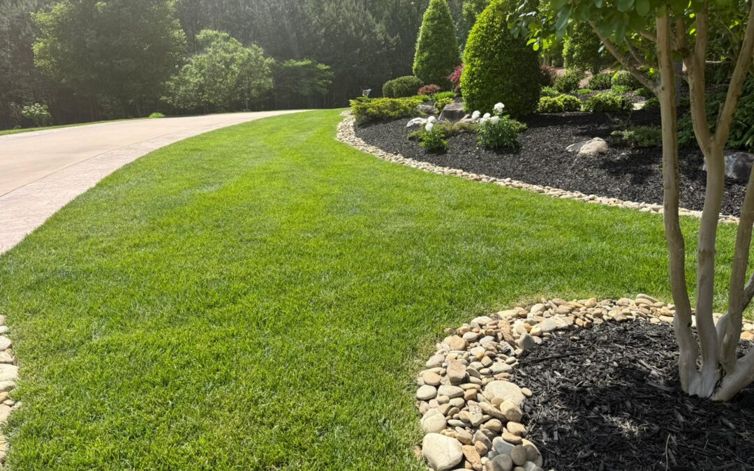 Beautify Your Outdoor Space With The Experts At Edwin’s Landscaping LLC🌿👌