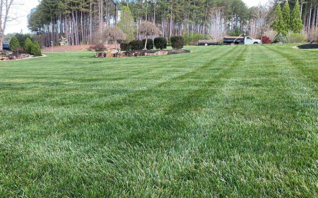 🔨 Edwin’s Landscaping LLC – Quality, Care & Lasting Results