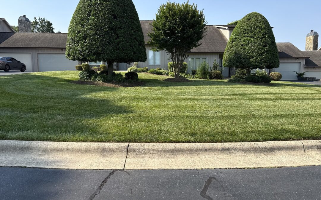 🌿✨ Another Dream Yard Comes to Life! ✨🌿